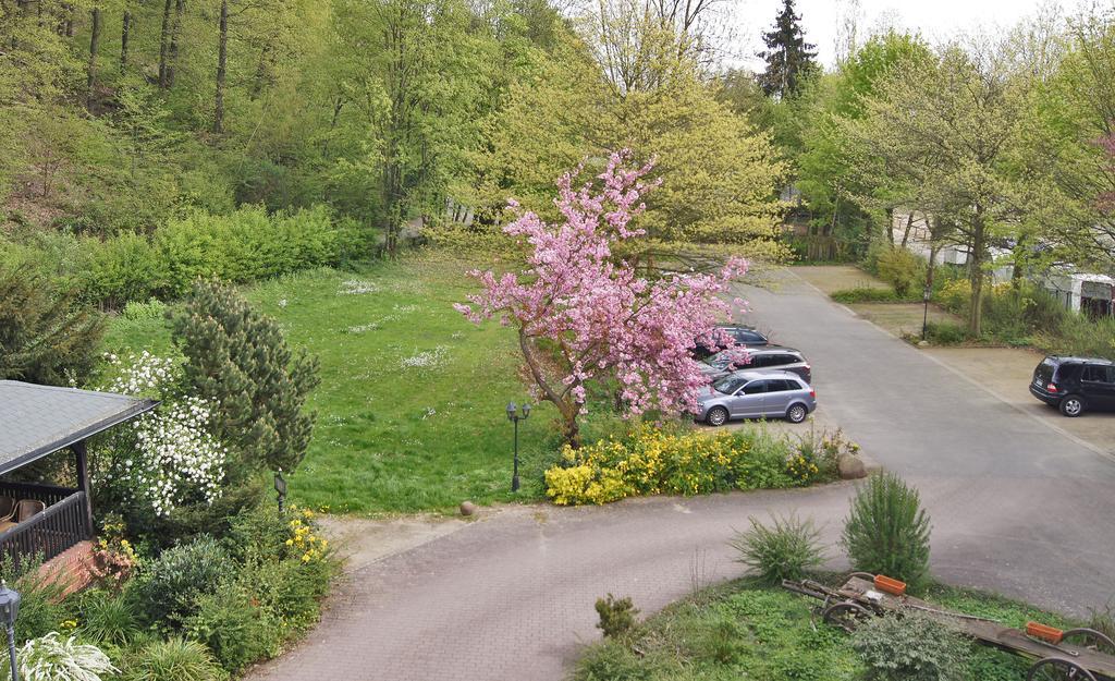 Landhotel Burkartsmuehle Hofheim am Taunus Exterior foto